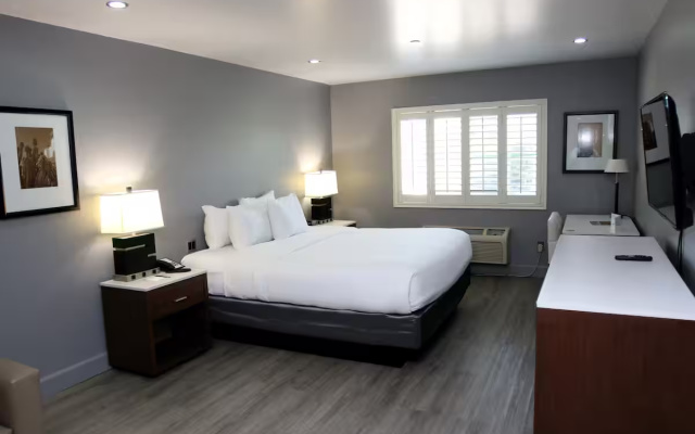 Accessible Double room