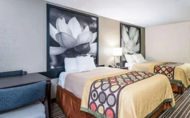 Efficiency Twin room