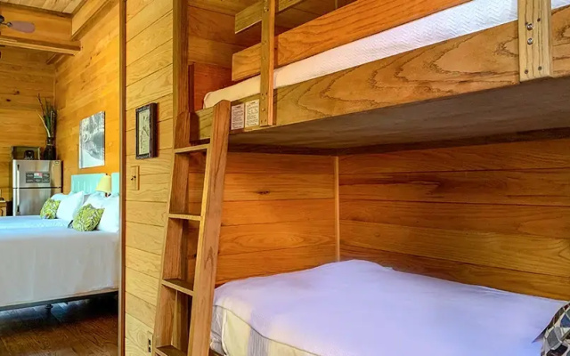 Studio Treehaus