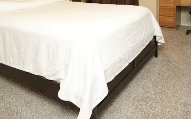 1 Bedroom Condo