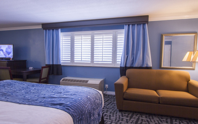 Double Mini Suite