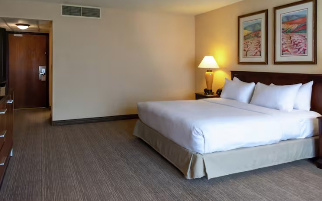 Double room with balcony and with pool view