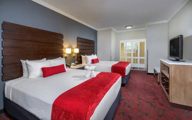 1 Bedroom Full Kitchen Suite