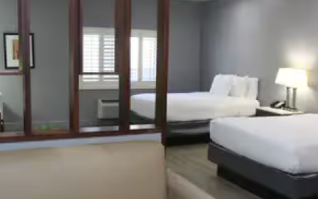 1 room Patio Quadruple Suite