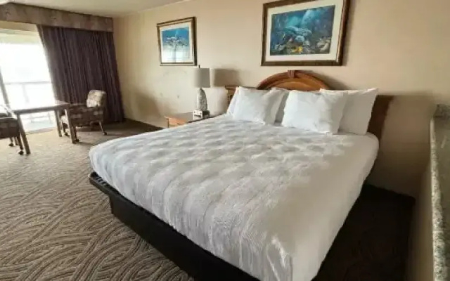 Moderate room with balcony and with ocean view