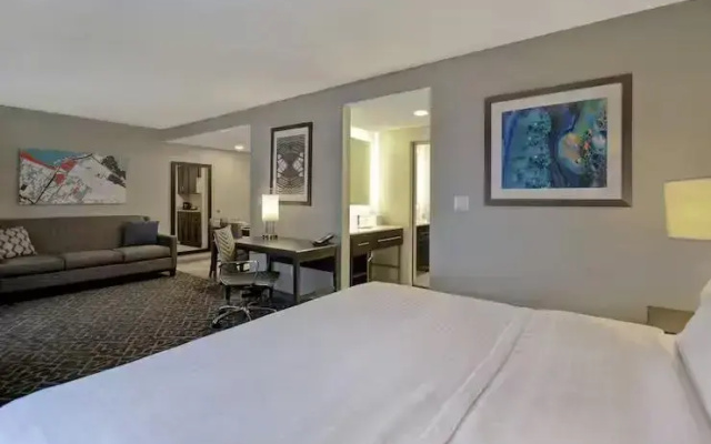 1 Bedroom Nyc View Double Suite