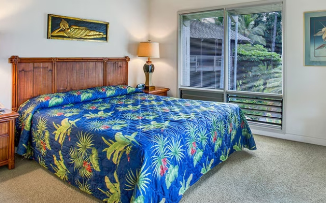 1 Bedroom Double Suite with park view