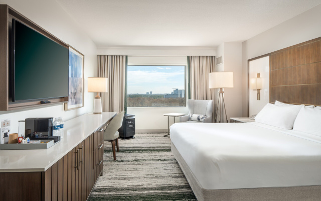 Double Accessible  room with pool view
