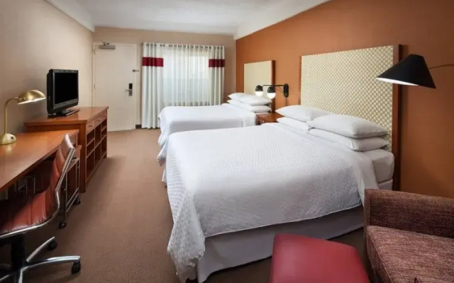 Larger Quadruple room
