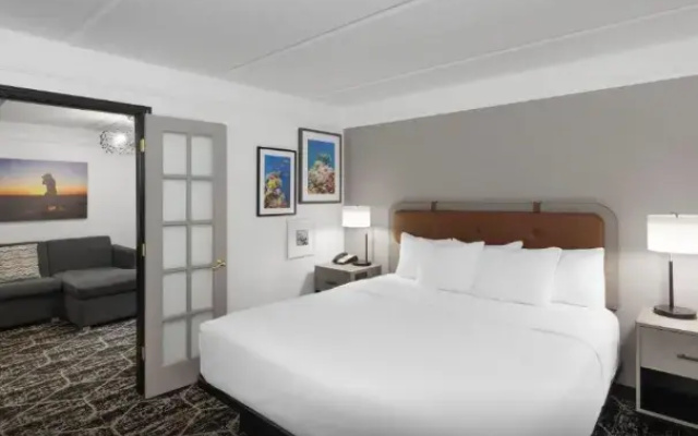 1 Bedroom Double Suite