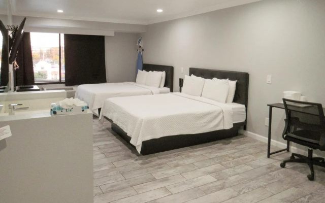 Mobility and Hearing Accessible Double Studio