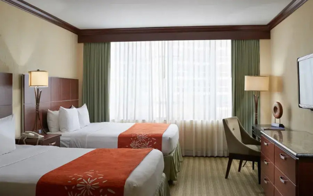 Superior Double room City View