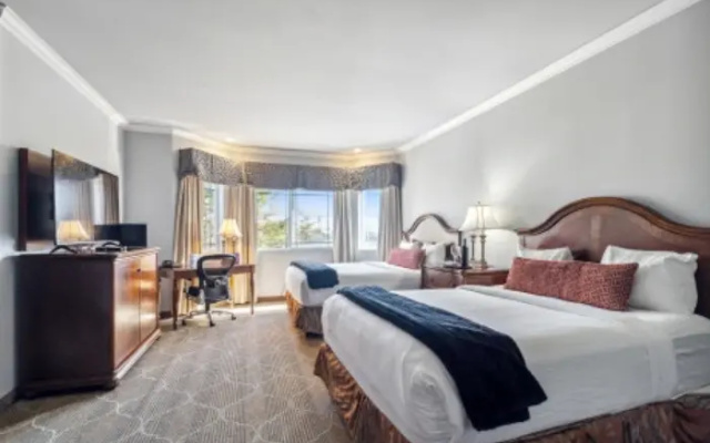 Superior Suite