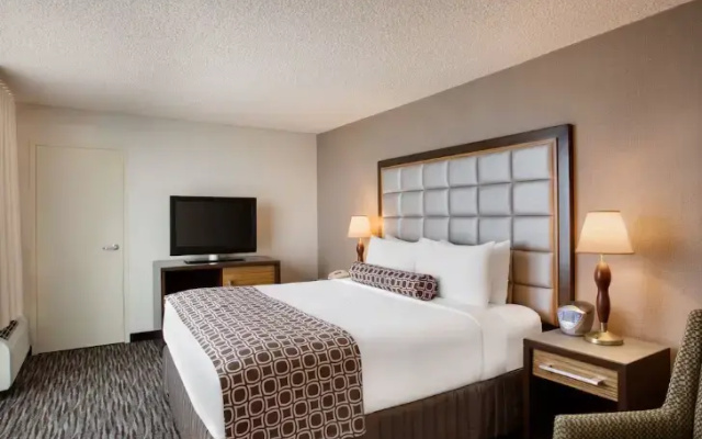 Plaza Double Suite