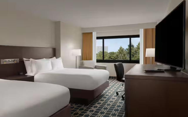 Executive Floor Quadruple room