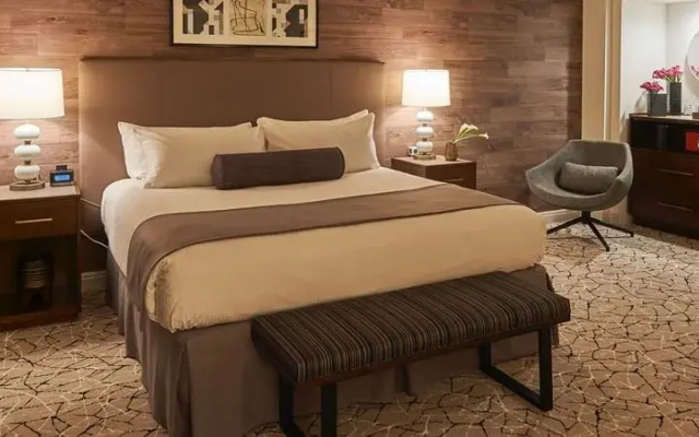 Executive Double Junior Suite