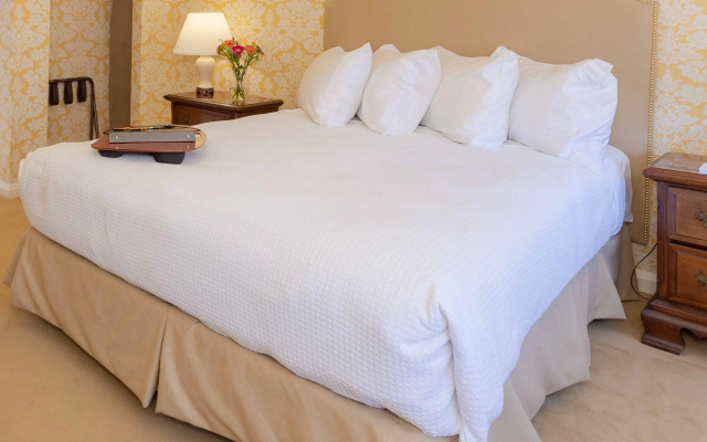 Superior Accessible Double room