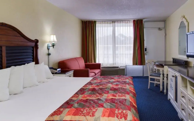 Standard Double room with pool view