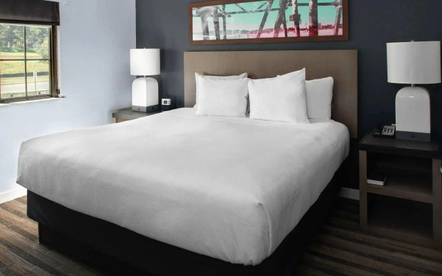 Double Studio Suite