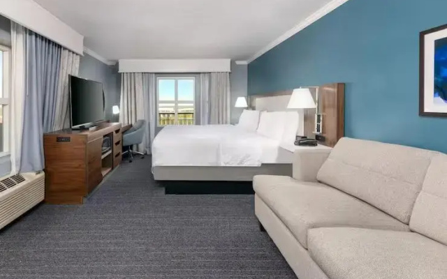 Deluxe Live oak view Double room