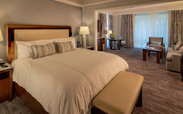 Double Studio Suite