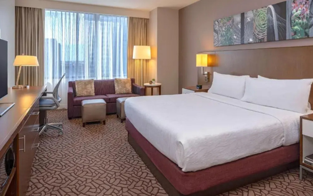Deluxe Guest room