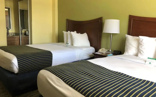 Pet Friendly room