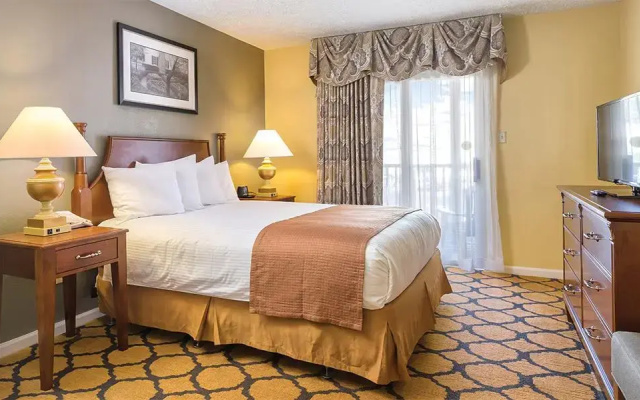 1 Bedroom Suite