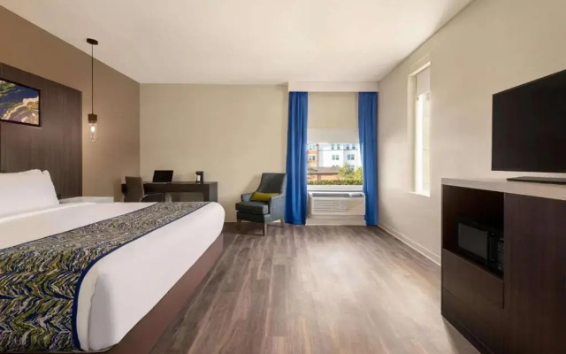Accessible Double Studio Suite