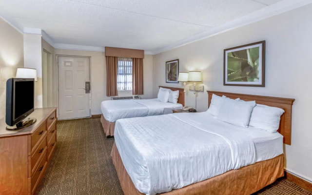 Deluxe Quadruple room