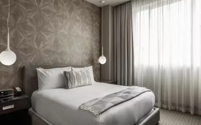 Contemporary Double Suite