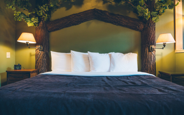 Sequioa Double Treehouse