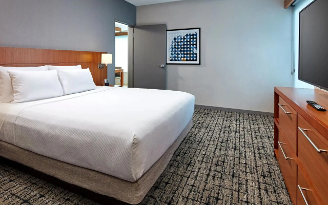 1 Bedroom Accessible Roll-In Shower Double Suite (with Sofa Bed)