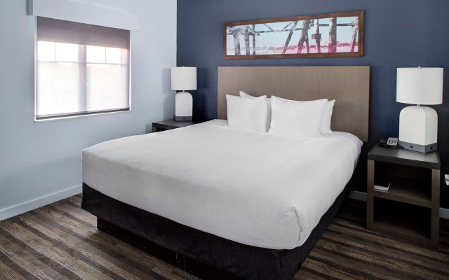1 Bedroom Suite