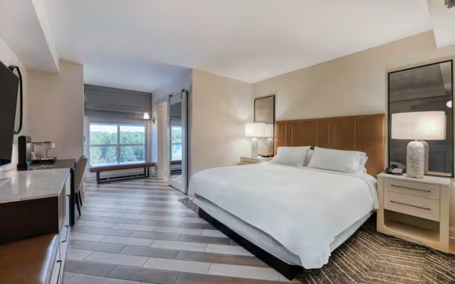 1 Bedroom Double Studio