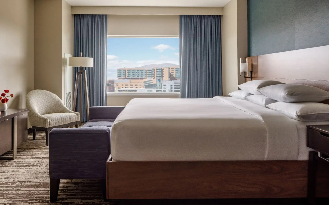 Regency Accessible Double Suite