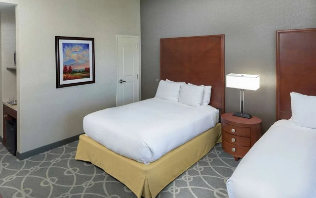 Twin room with balcony and with garden view