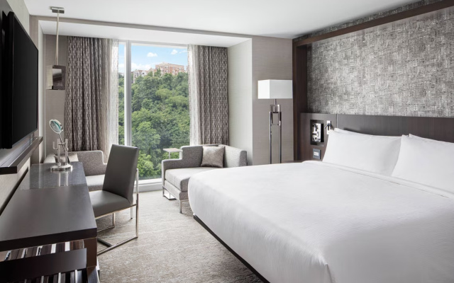 Deluxe Palisades View room