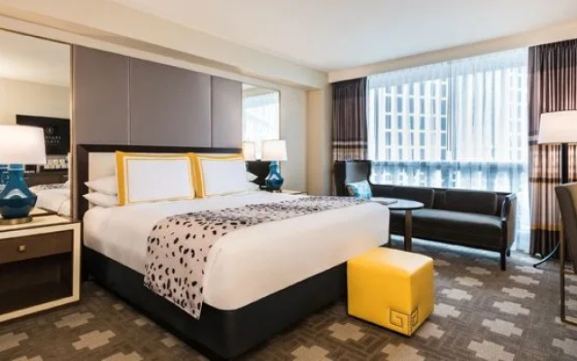 Julius Signature Level Double Suite
