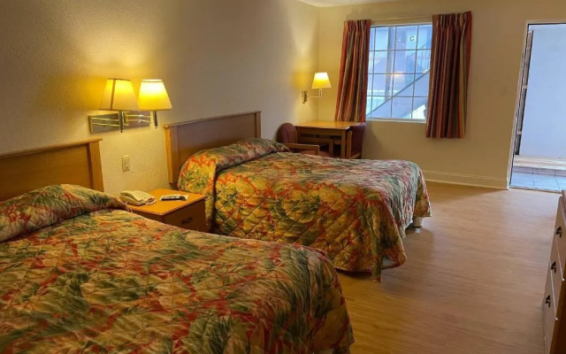 Pet-Friendly room