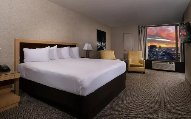 Mini Double Suite