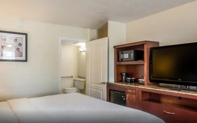 Standard Double room with pool view
