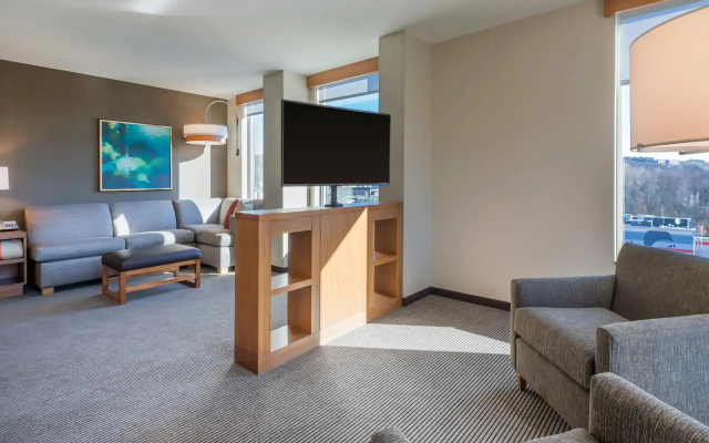 1 Bedroom Kitchen Double Suite