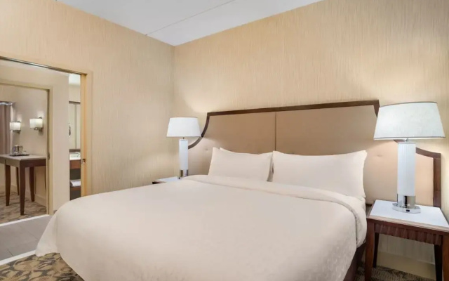 1 Bedroom Executive Double Suite with city view
