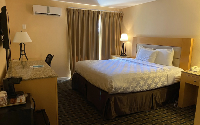 Roll-In Shower Double room