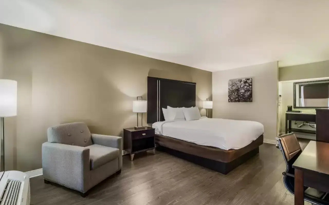 1 Bedroom Double Suite