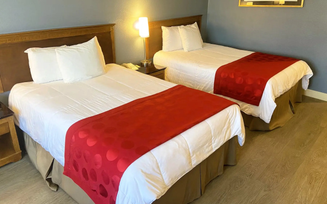 Quadruple room