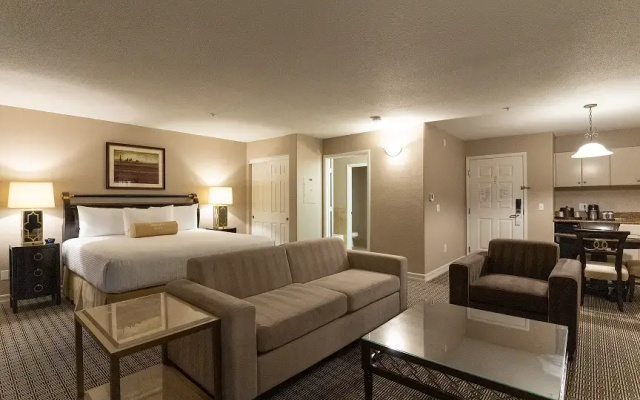 Siena Suite