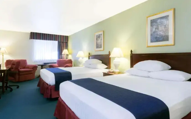 Family Suite