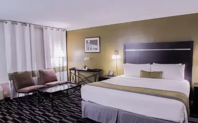 Executive Double Studio Suite